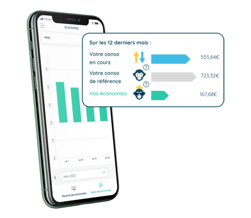 ECOJOKO - L'assistant connecté d'économie d'énergie - Eclairage connecté -  Rue du Commerce