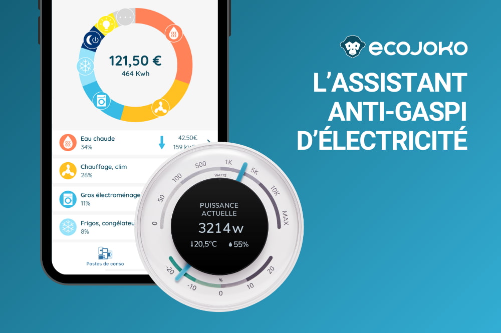 ecojoko face aux concurrents