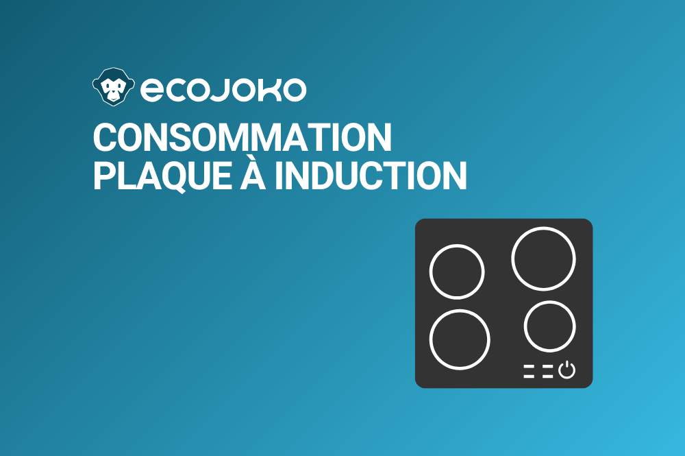Quelle est la consommation d'une plaque à induction ?