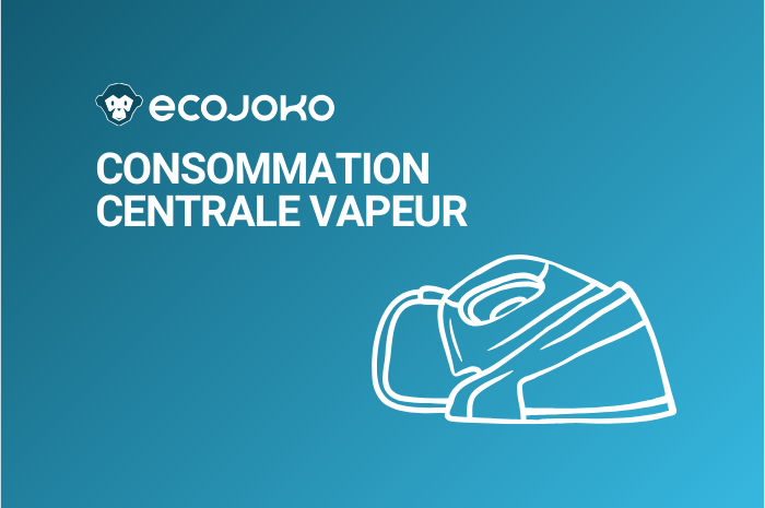Quelle est la consommation d'une centrale à vapeur ?